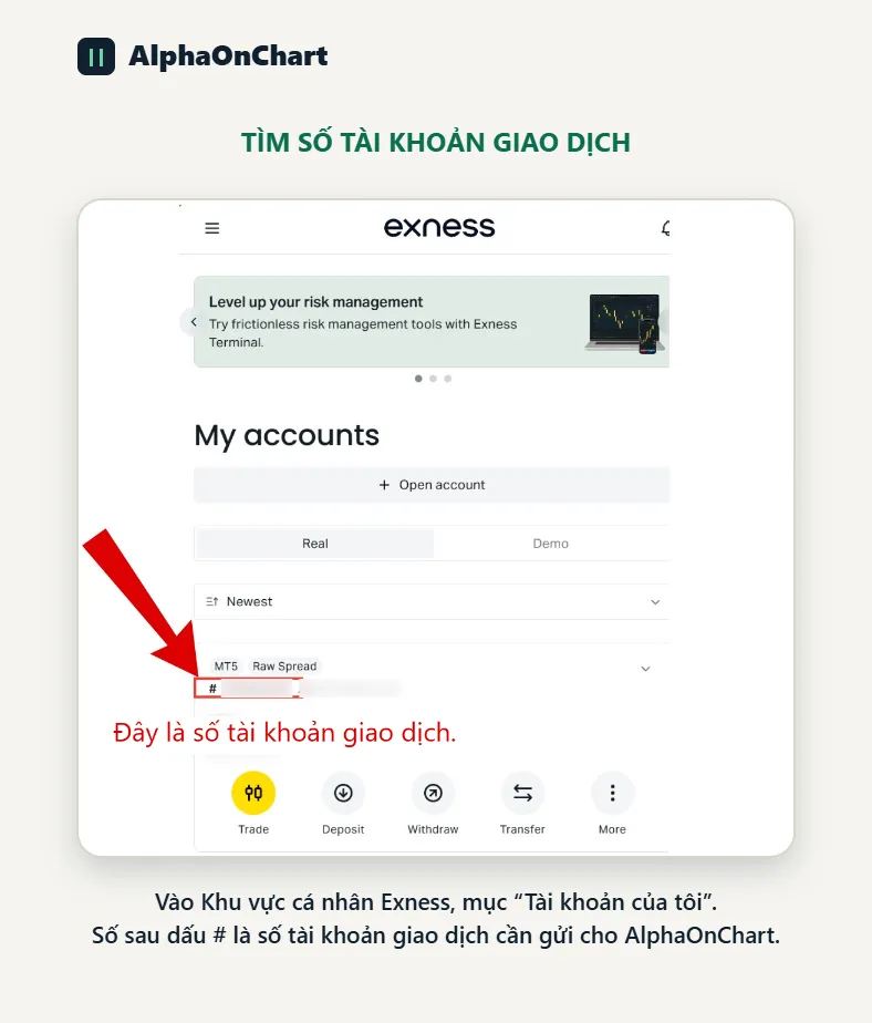 Chờ Exness phê duyệt và tạo tài khoản giao dịch mới