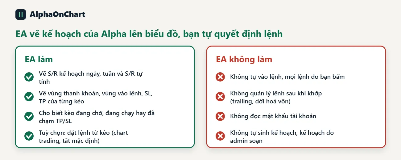EA làm gì, và không làm gì
