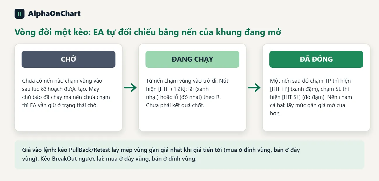 Kèo được đánh dấu chờ, chạy, đóng thế nào